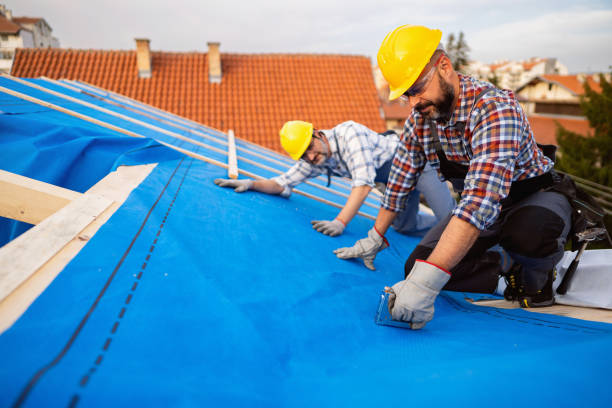 Best Best Roofing Contractors  in Buena Vista, MI