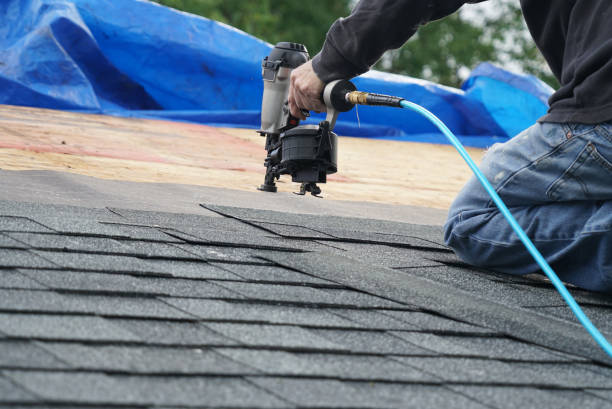 Best Roof Gutter Cleaning  in Buena Vista, MI